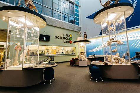 LifeScience Center — LifeScience Center.